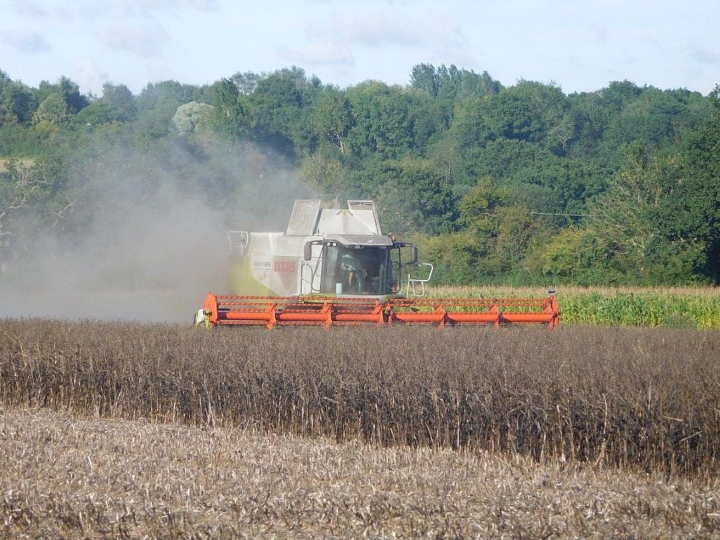 Arable Markets – Nov ’17