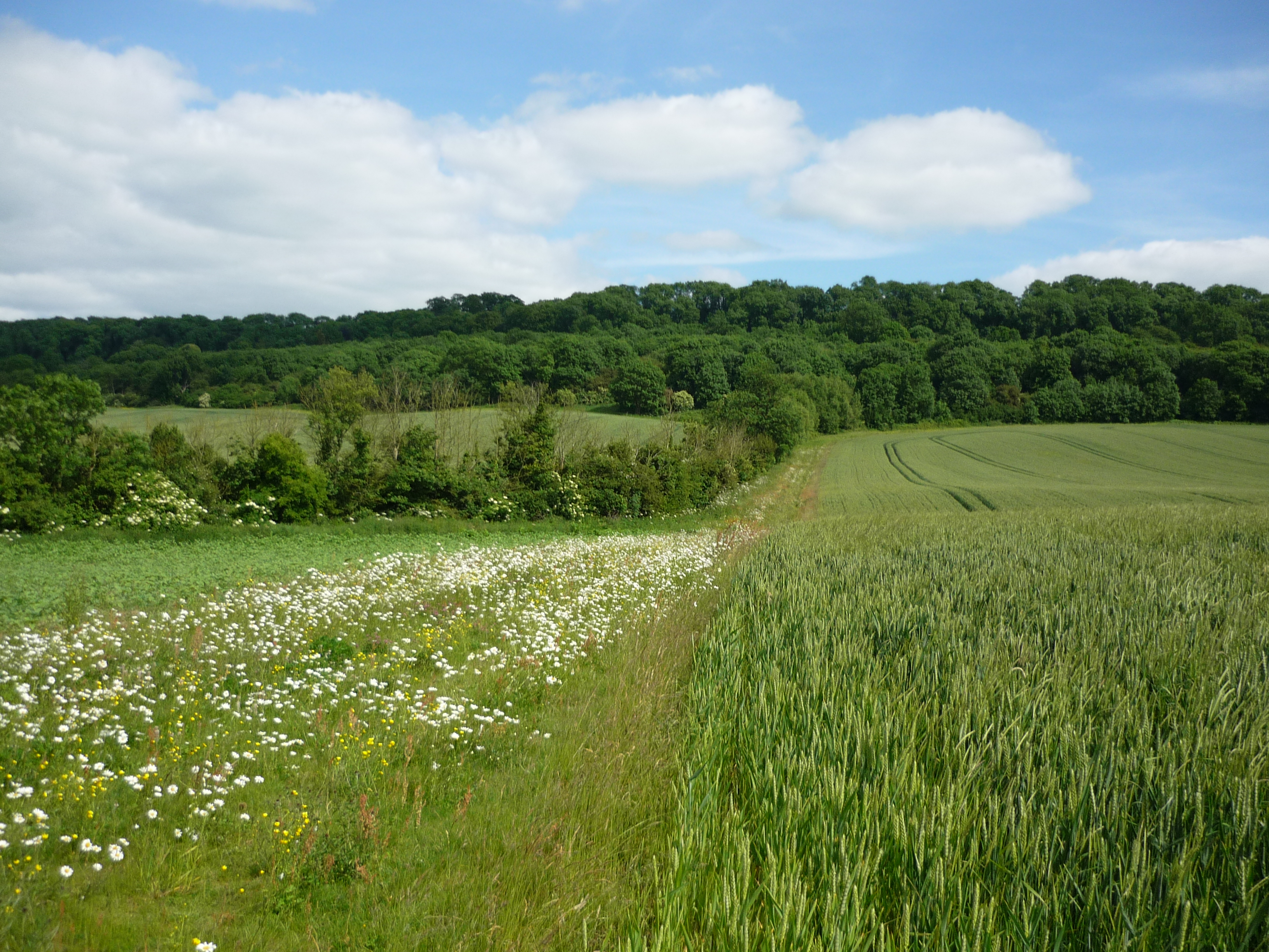 Agri Environment Pledge Requested