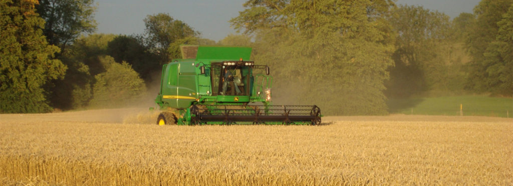 UK Grain Harvest and Marketing Commentary