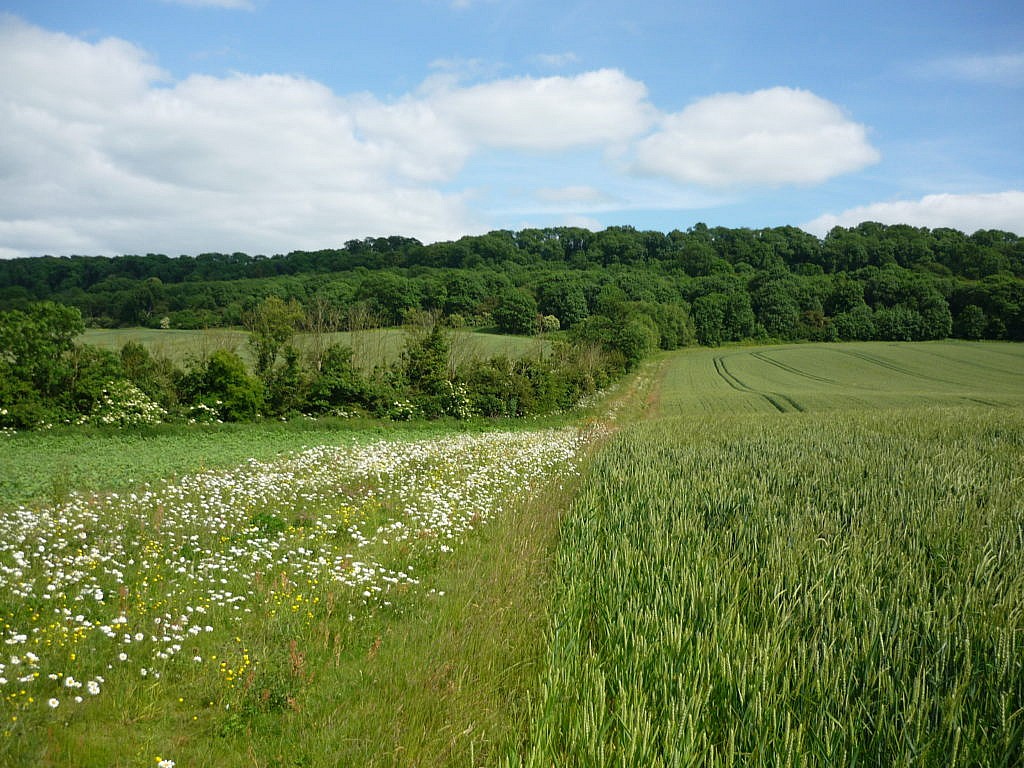 Countryside Stewardship – Jan ’18