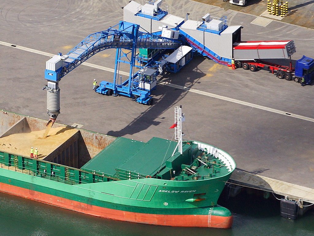 Global Grain and Oilseed Markets