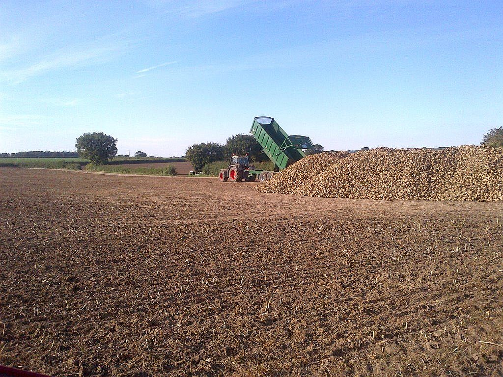 Yorkshire Sugar Factory In Doubt