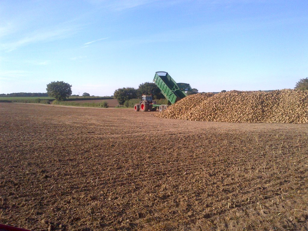 Yorkshire Sugar Factory In Doubt