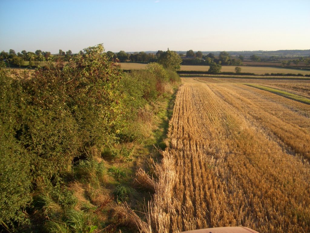 Hedgerow Regulations