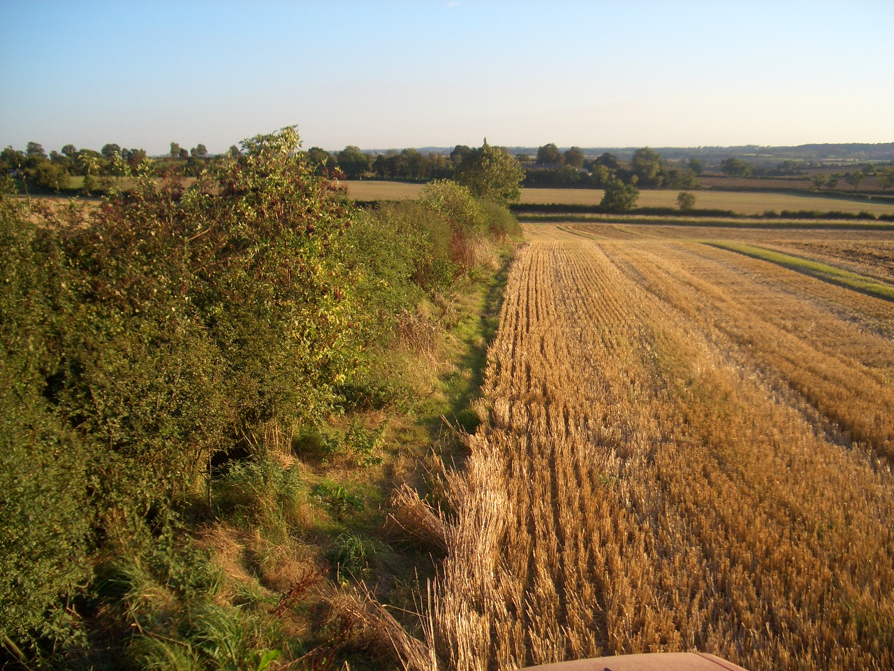 Hedgerow Regulations