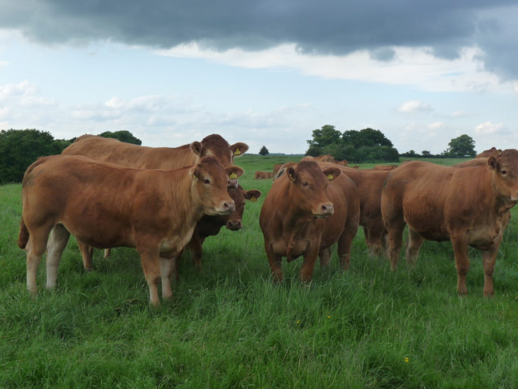 Health & Welfare Review