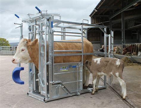 Animal Health & Welfare Grants