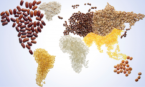 International Grains Council Figures