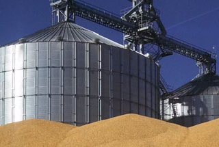 Global Grain Update