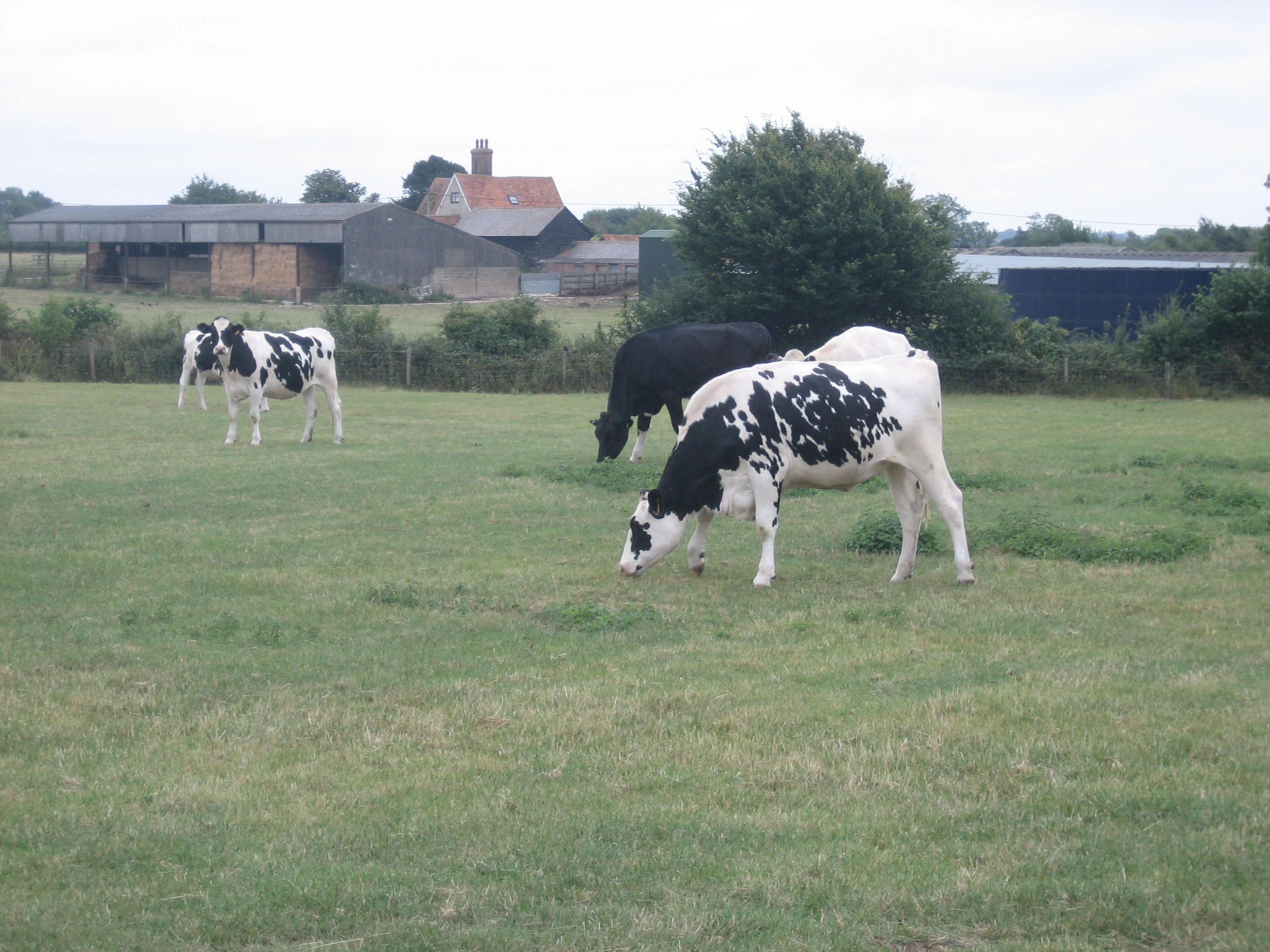 Farm Profits Up for 2019