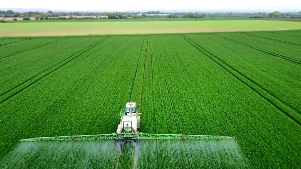 IGC Global Crop Predictions