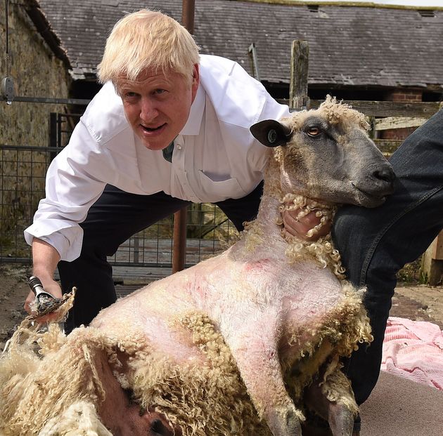 Boris and Agriculture
