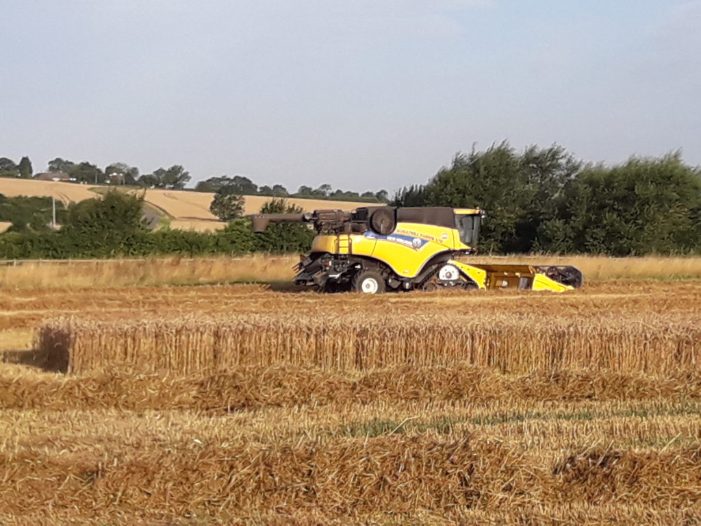 UK Arable Market Update