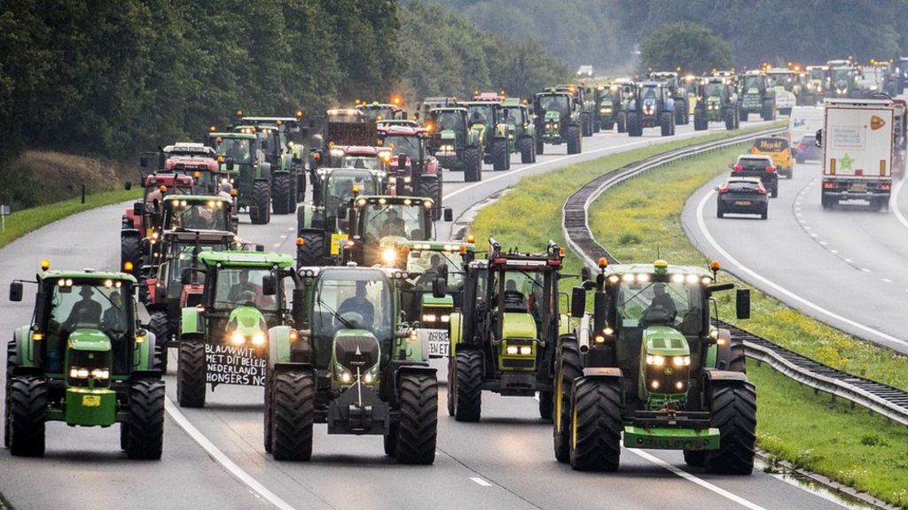 Dutch Farmer Protests