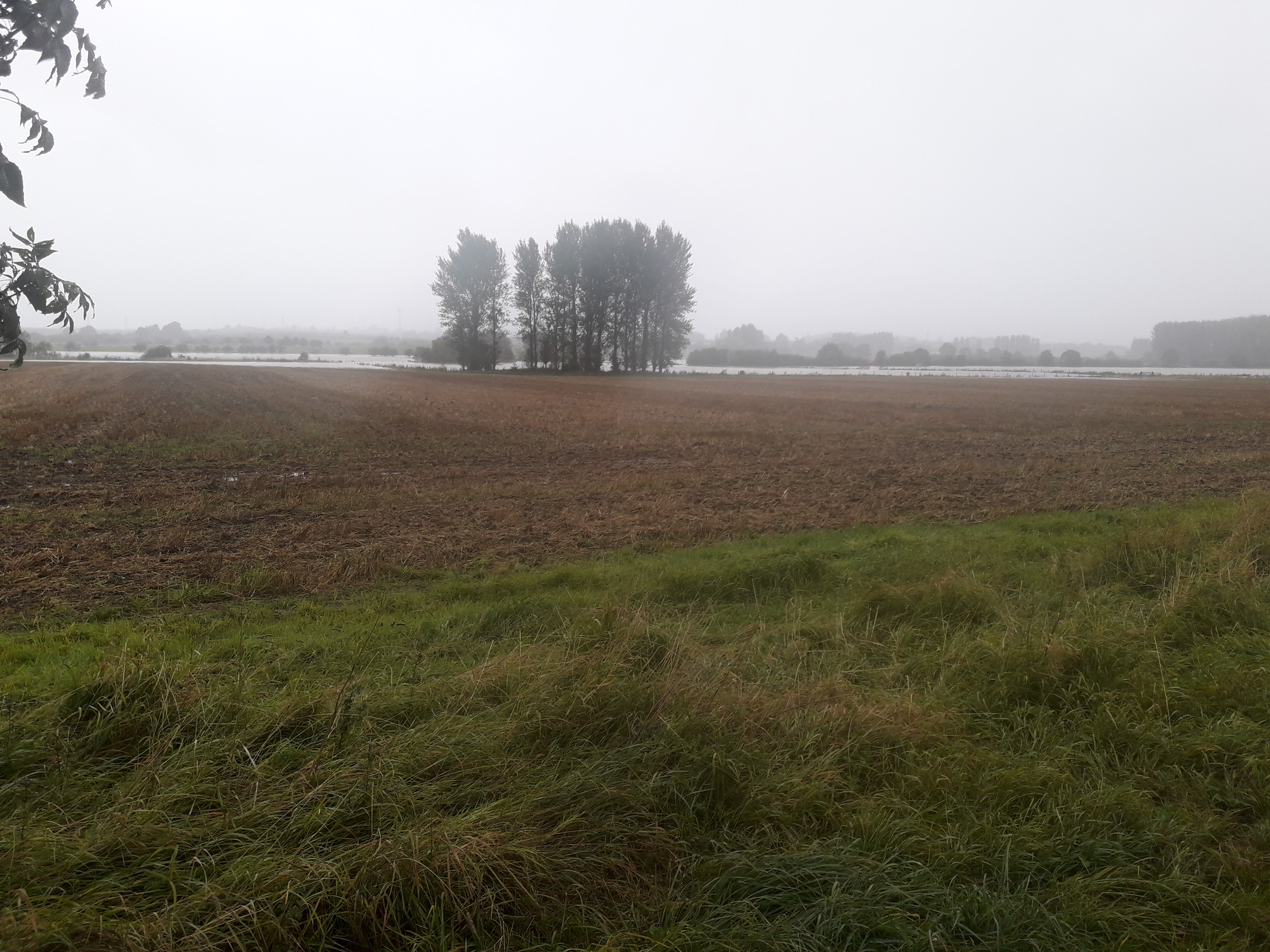 October Arable Commentary