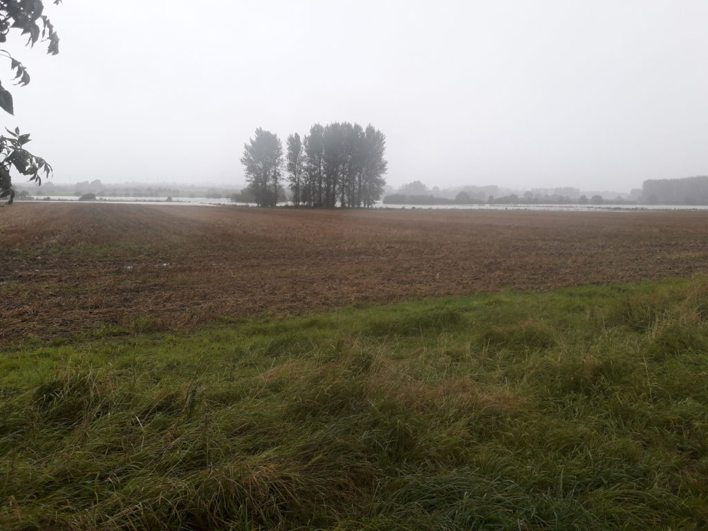 Weather and 2020 Cropping