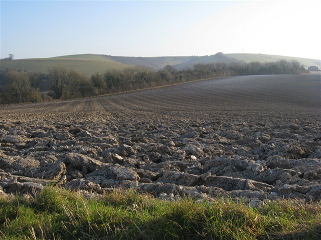 Combinable Crop Markets