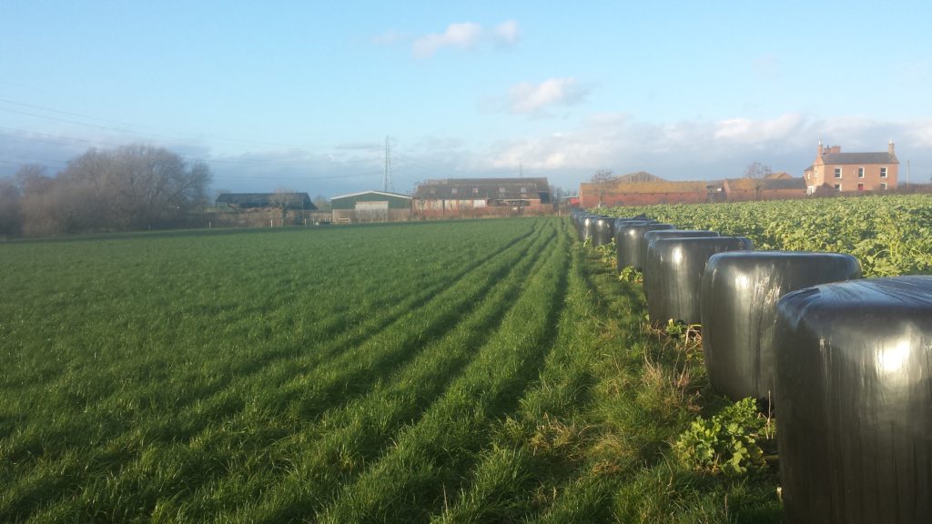 Farm Business Income