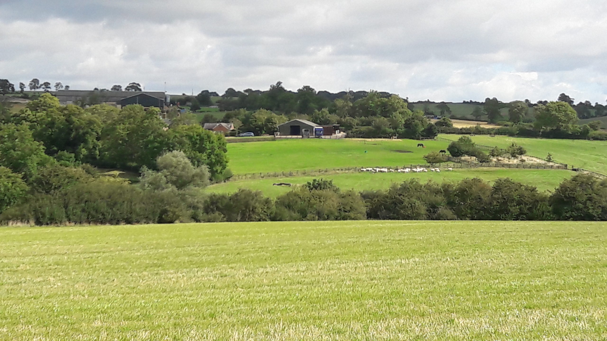 Agriculture Bill 2020