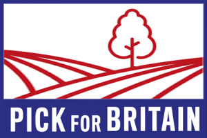 Pick for Britain
