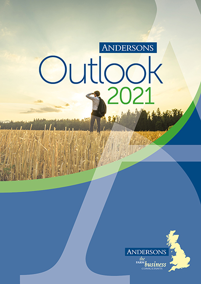 Outlook 2021 – A Landmark Year Ahead
