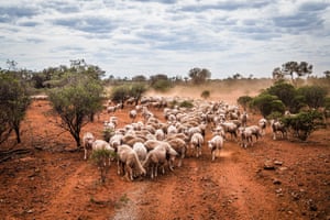 UK – Australia Trade Deal