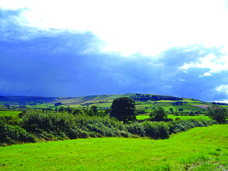 Farm Business Income