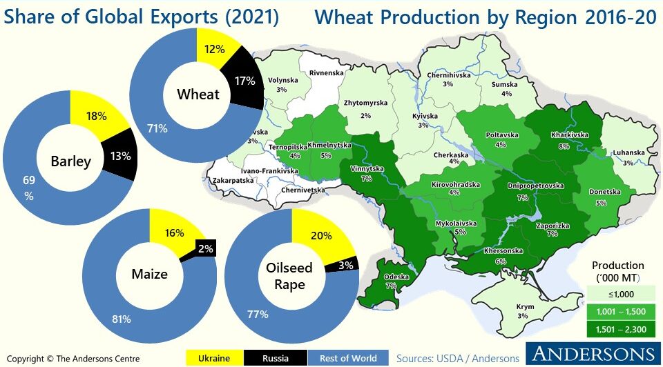 Spotlight on Markets Following Russia’s Invasion