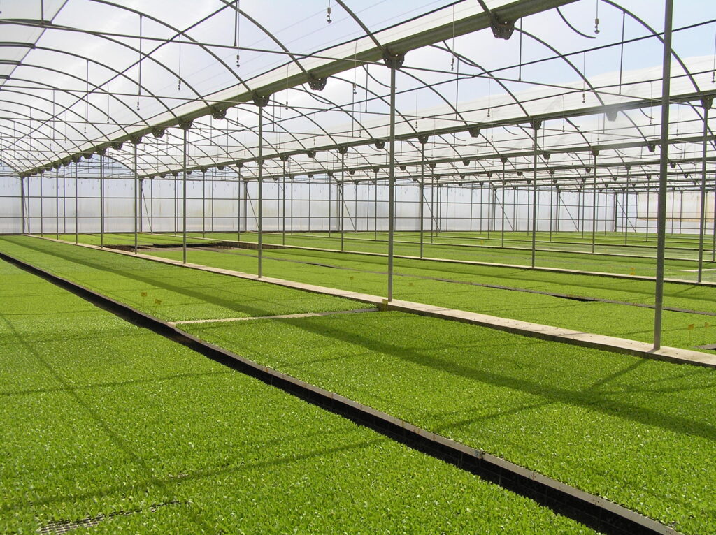 Water Management Grant