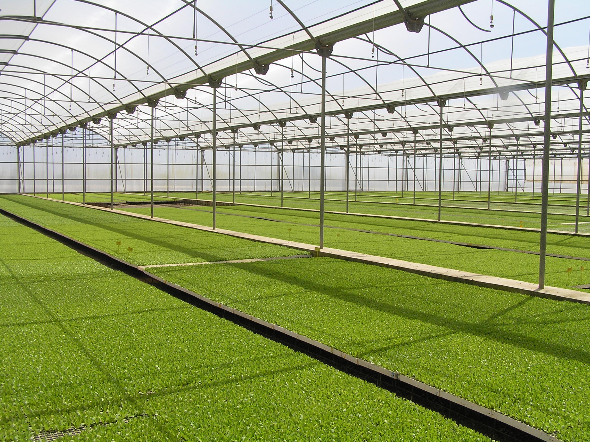 No Horticulture Strategy