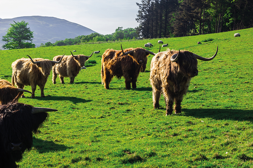 Scottish BPS Payments