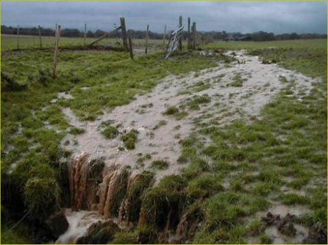 Environmental Targets