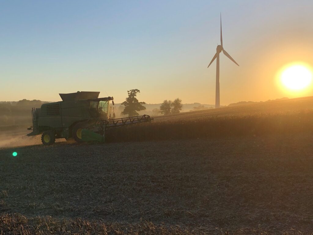 Grain Market Update – Aug ’25