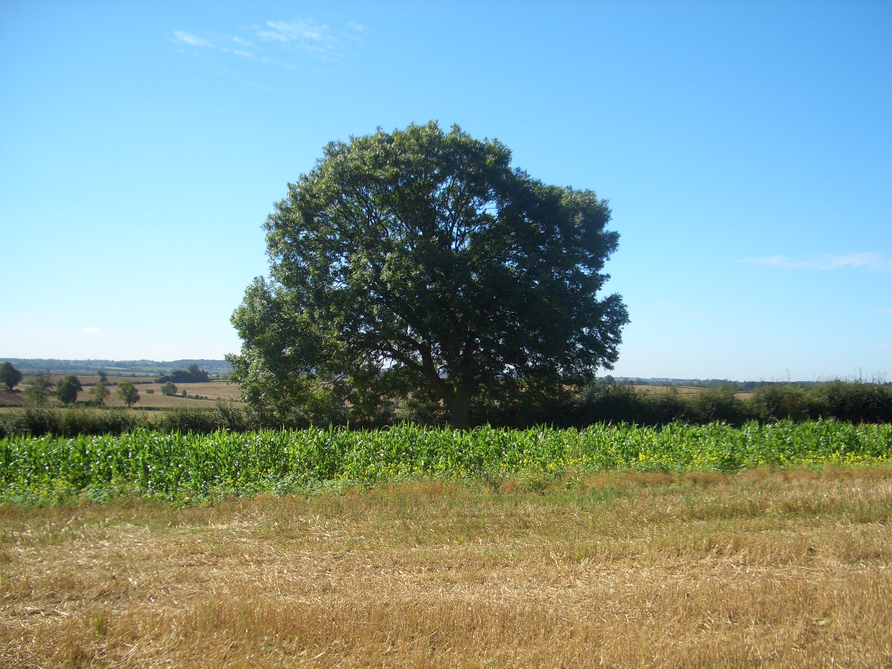 SFI 2023 to Open Shortly