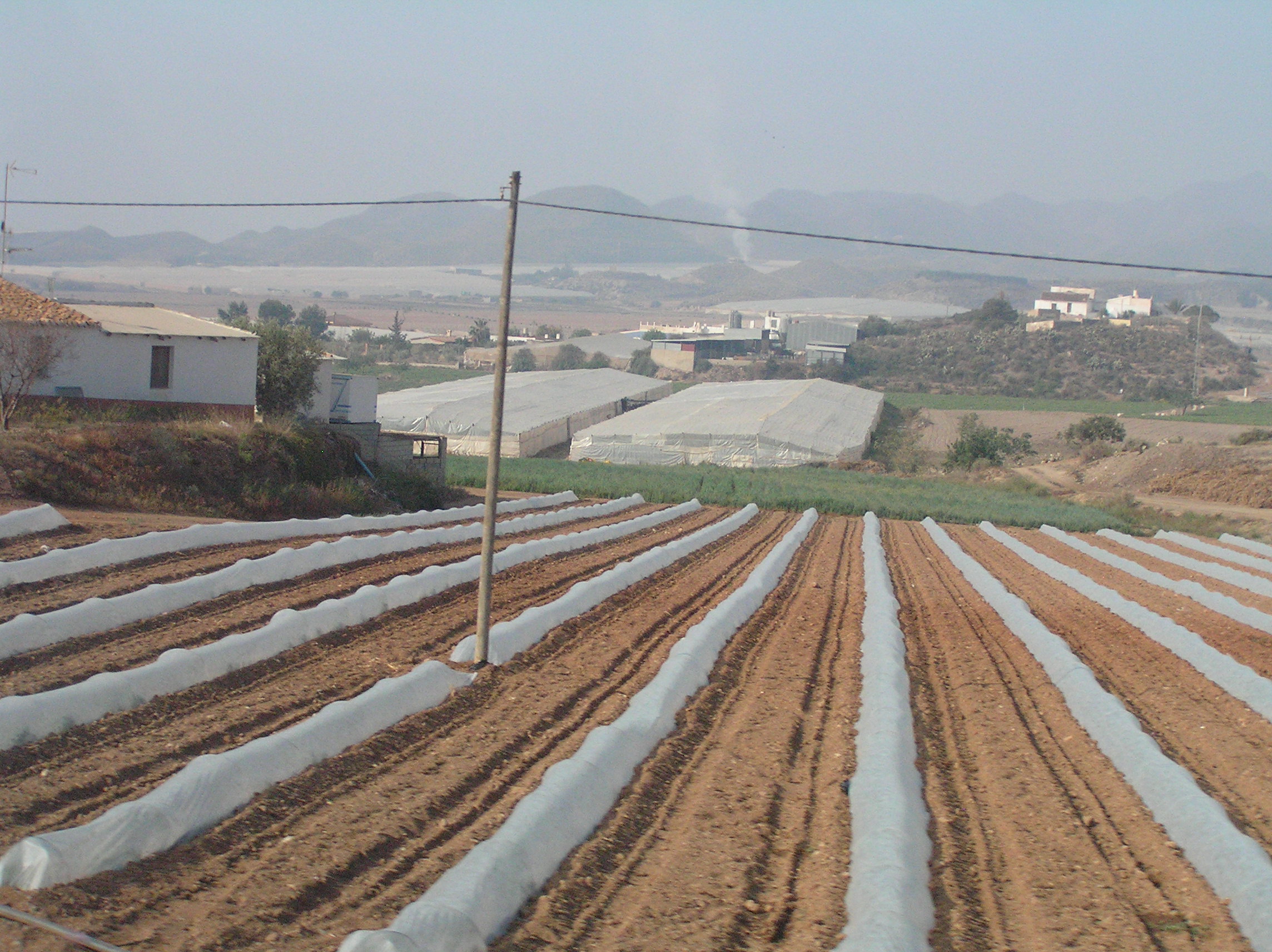 Fruit & Veg Blueprint