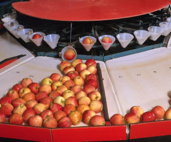 Fruit & Veg Aid Scheme