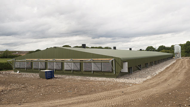 Chicken Manure Ruling