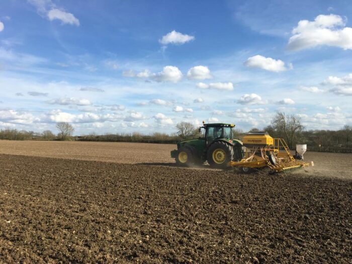 Grain Market Update – Mar ’25