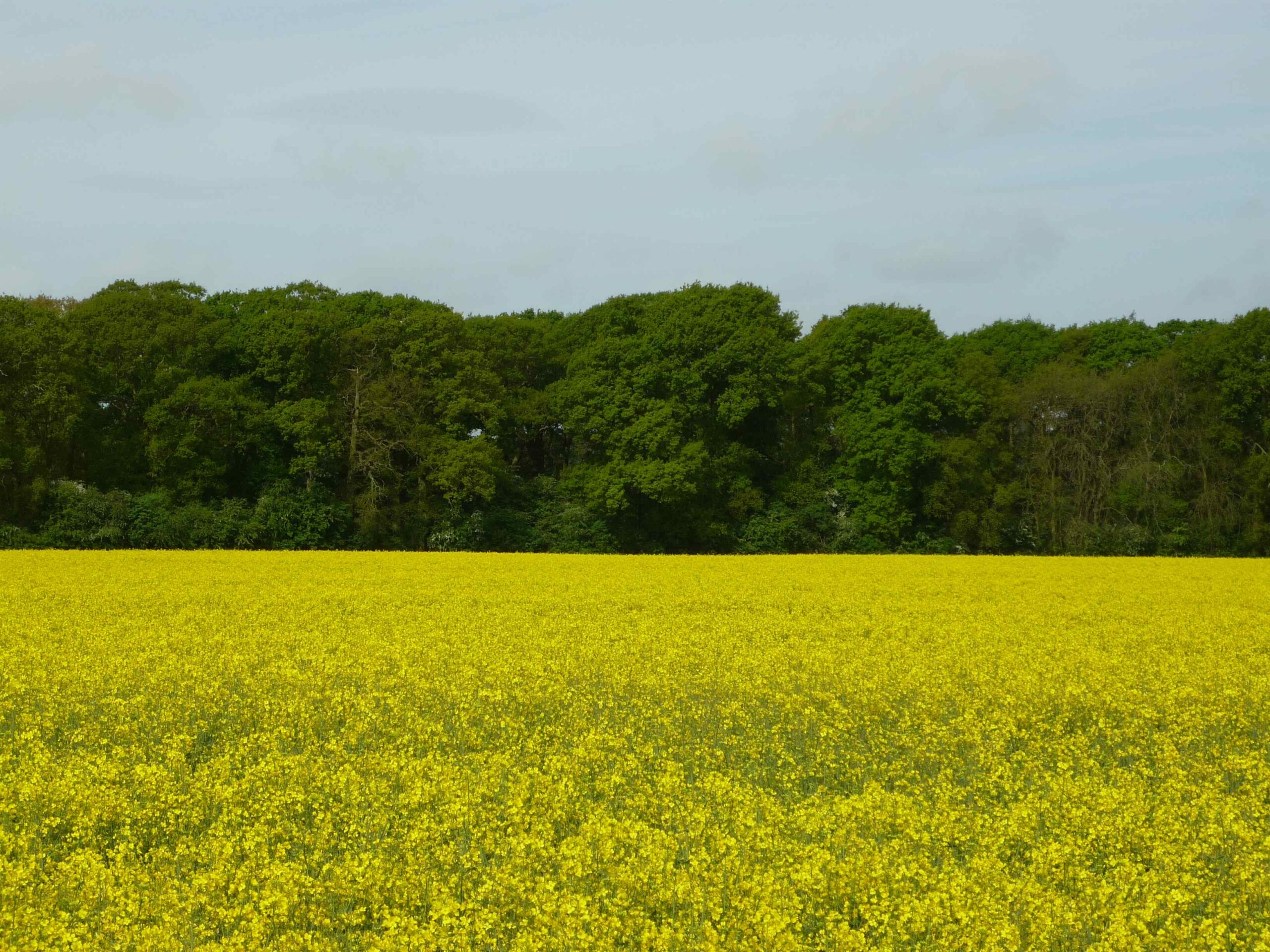 April Arable Update