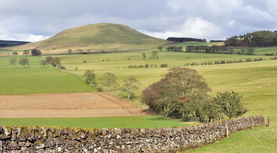 Galloway National Park