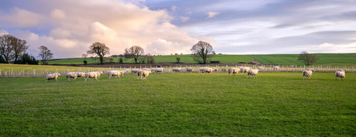 Farm Business Income March ’26