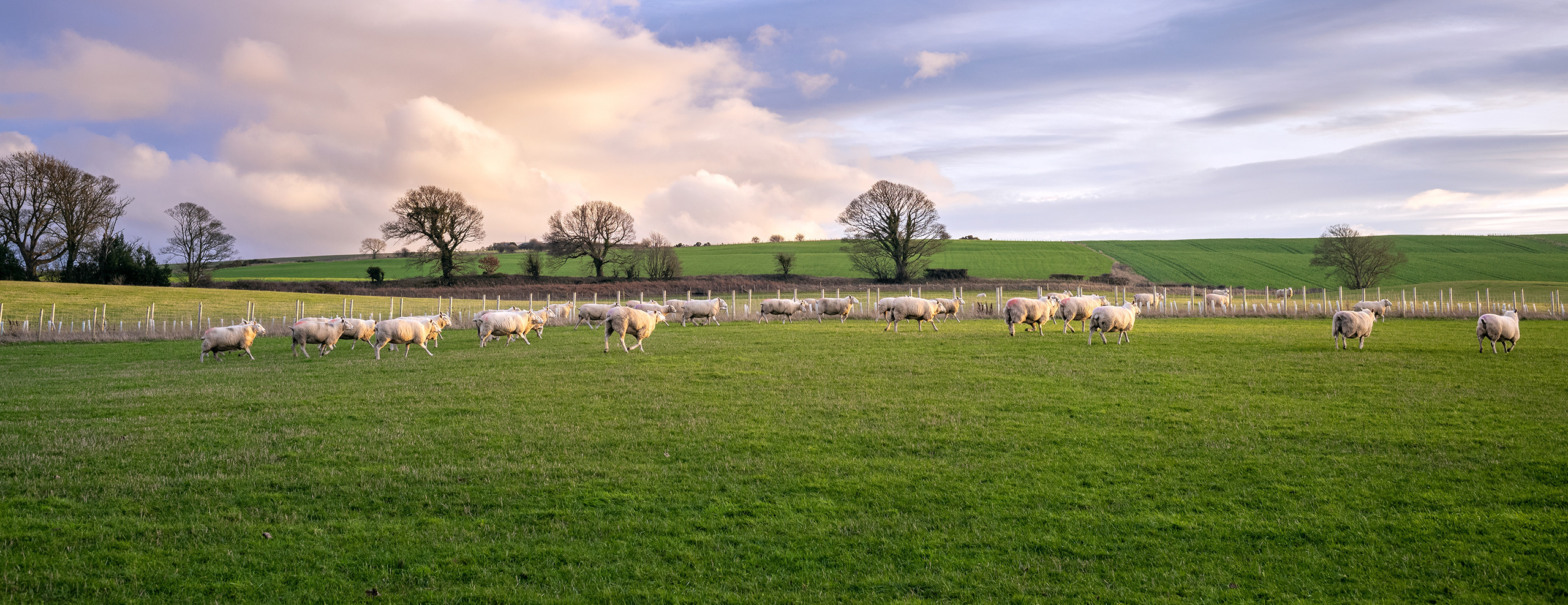 Farm Business Income March ’26