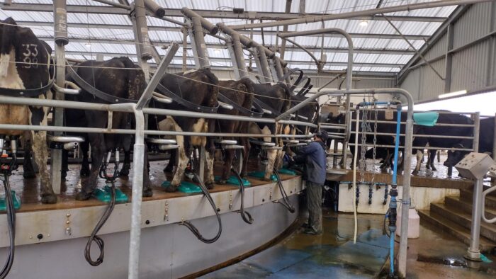 Dairy Update – Dec ’25