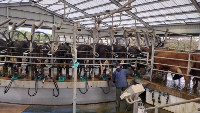 Milk Production & Prices