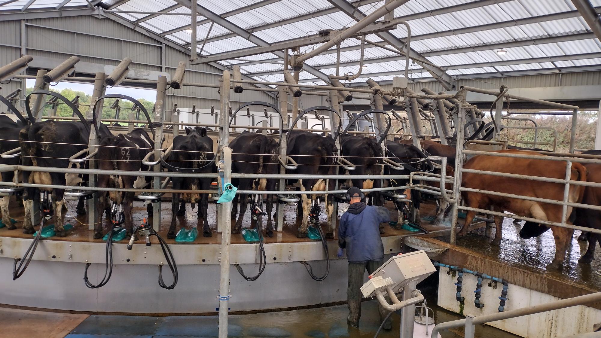 Milk Production & Prices