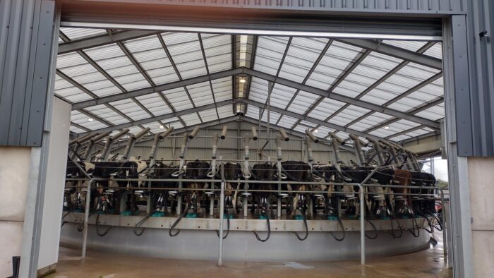 Dairy Production and Prices April ’26