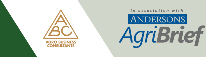 ABC Business consultants and Andersons Agribrief Logos on white and green background