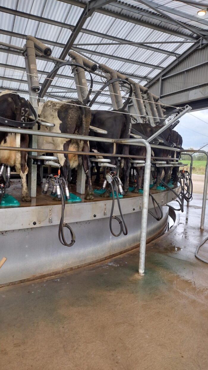 Dairy Roundup – Oct ’25