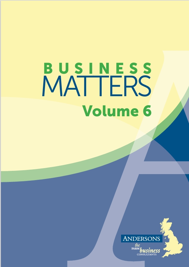 Andersons Business Matters (Volume 6) Published