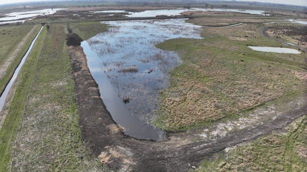 Peatland Grants